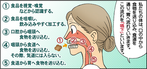 誤嚥性肺炎とは 訪問歯科治療 医療法人社団 健昌会 なかたに歯科クリニック 神戸市jr兵庫駅より徒歩1分